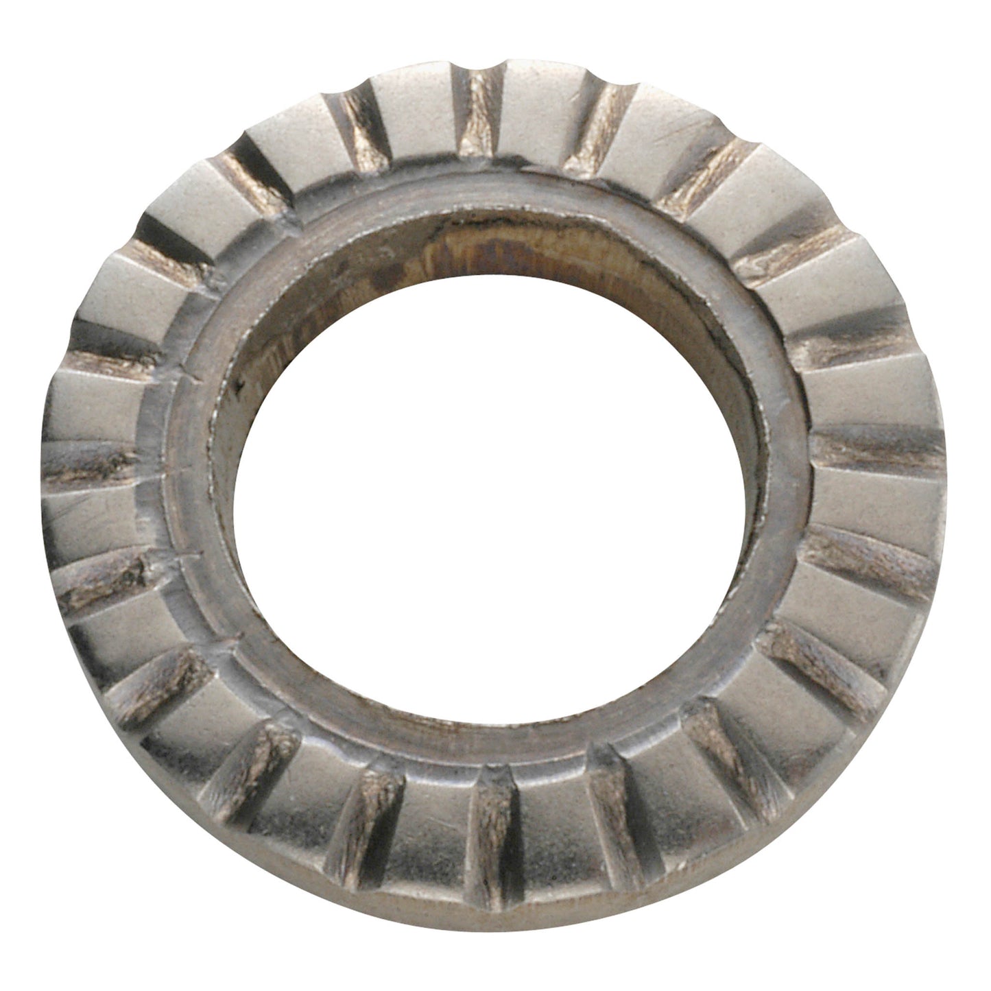 Knurled discs 19 x 10.5 x 3, knurled on one side and serrated stainless steel on the other