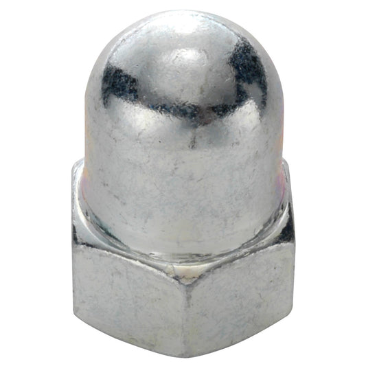 Cap nuts FG 9.5 galvanized steel
